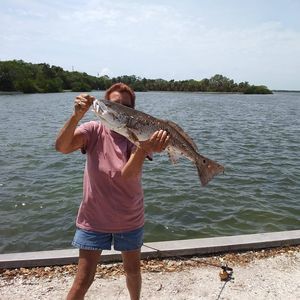 Meet your Posher, Debbie